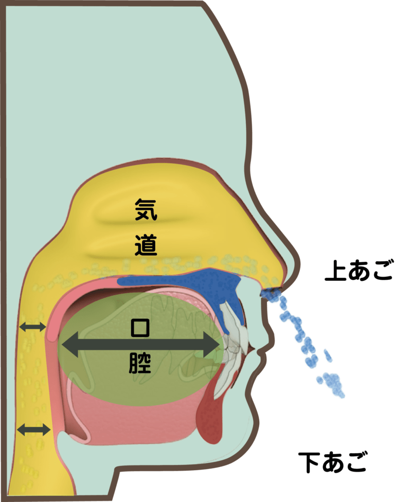 上あごが前方に成長することは実は健康面でも大きなメリットがあります